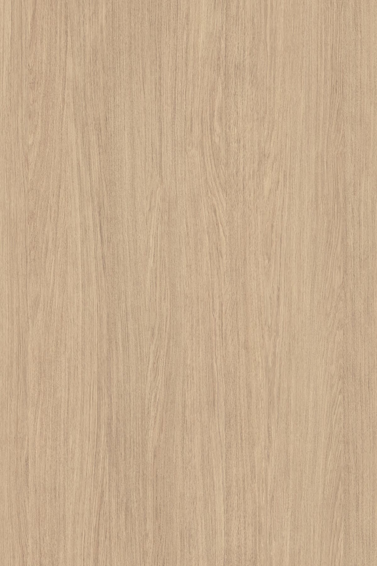 Silk Oak veneer on rWood Groove acoustic panel