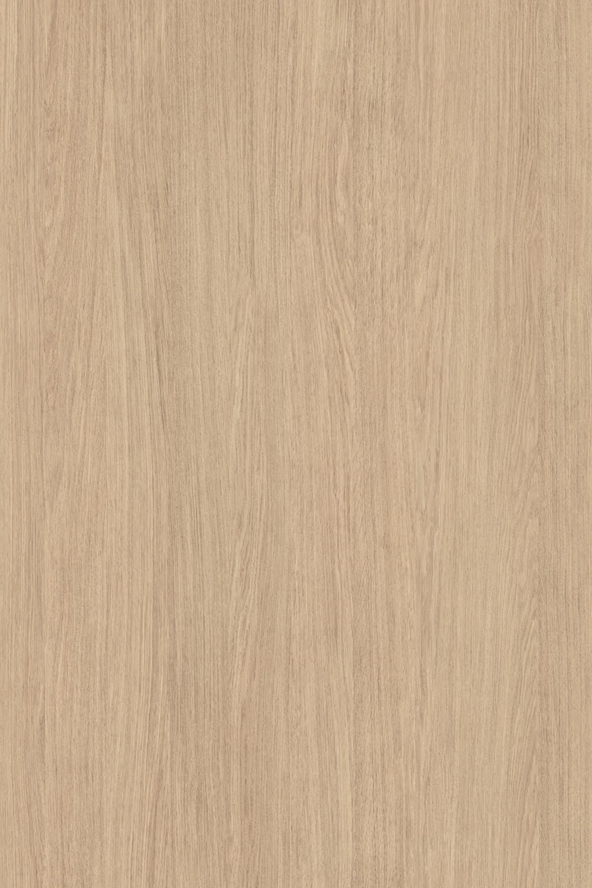 Silk Oak veneer on rWood Groove acoustic panel