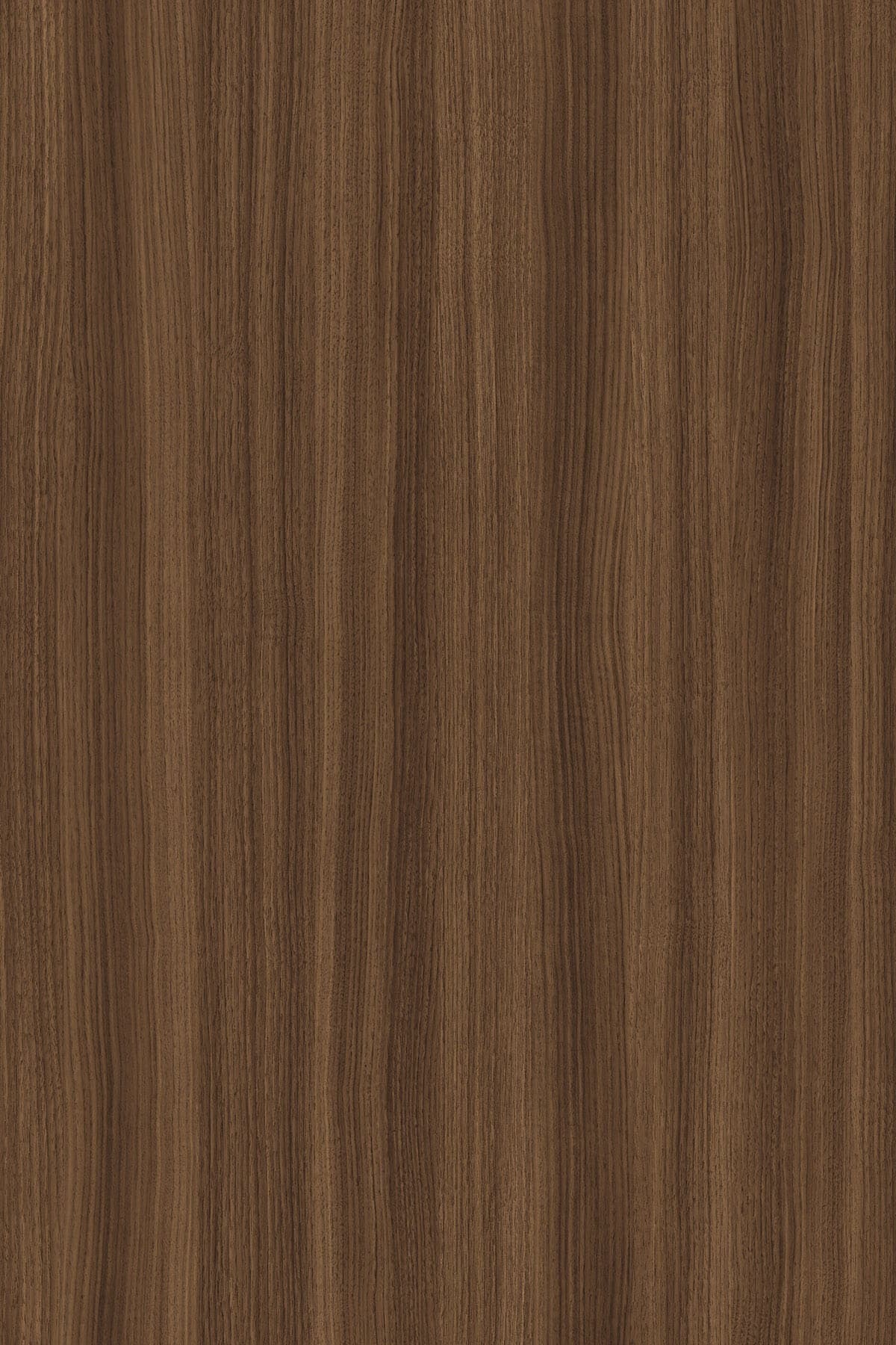 Tobacco Walnut veneer