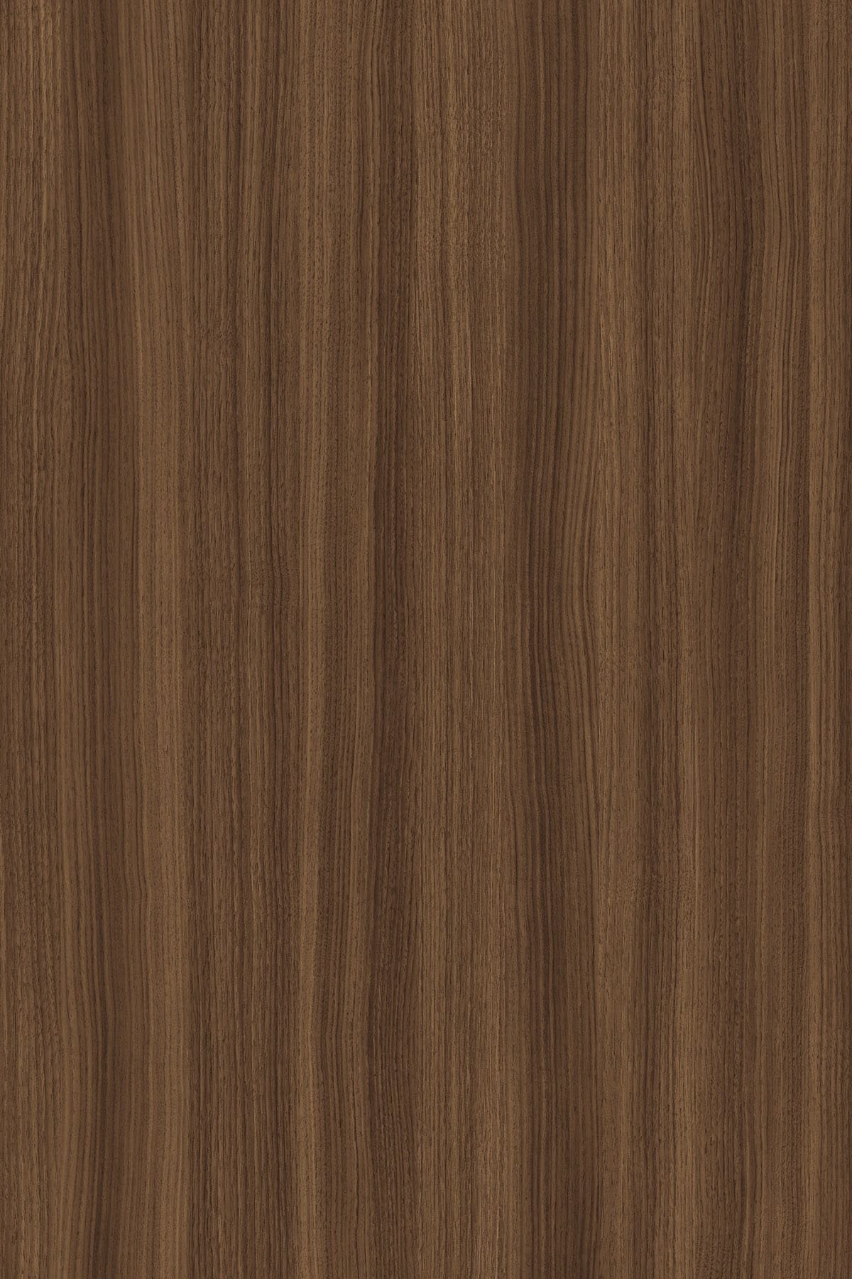 Tobacco Walnut veneer on rWood Groove acoustic panel