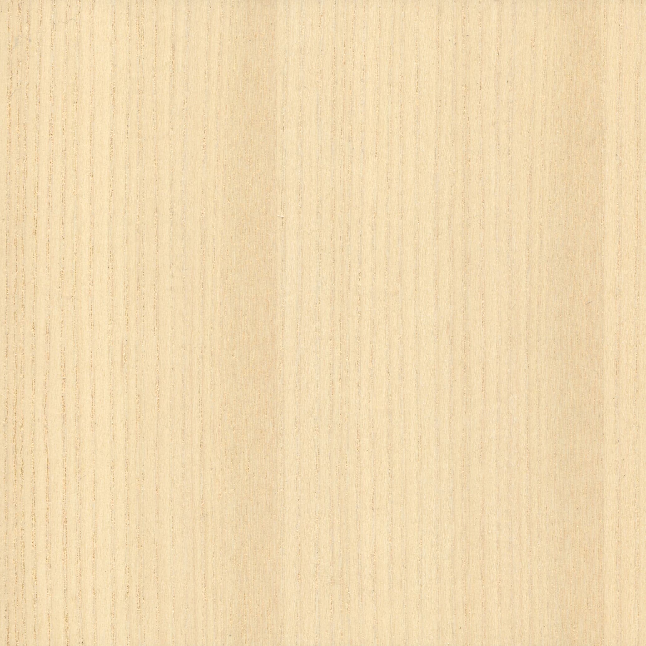 Ash White veneer swatch — rWood Panel