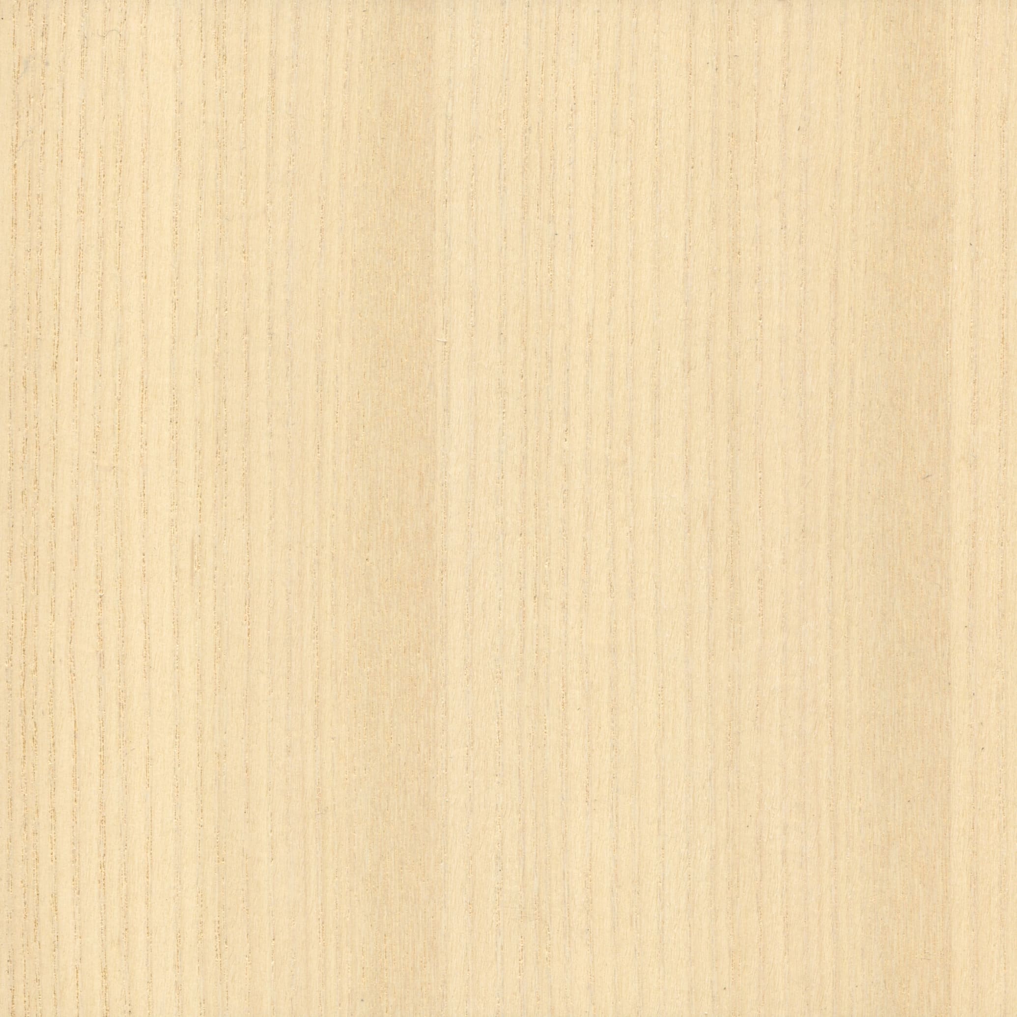 Ash White veneer swatch — rWood Panel