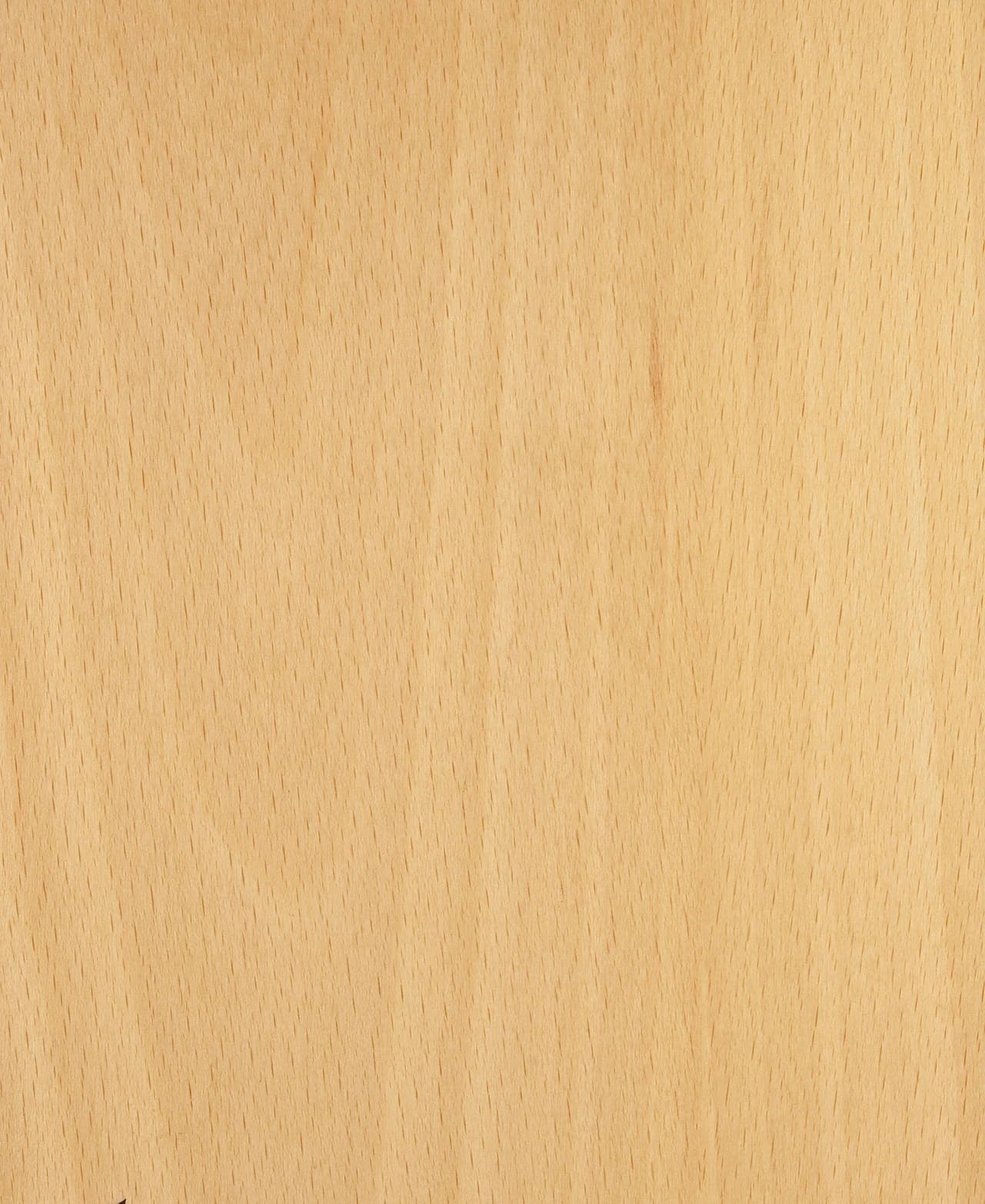 Beech White veneer swatch — rWood Panel