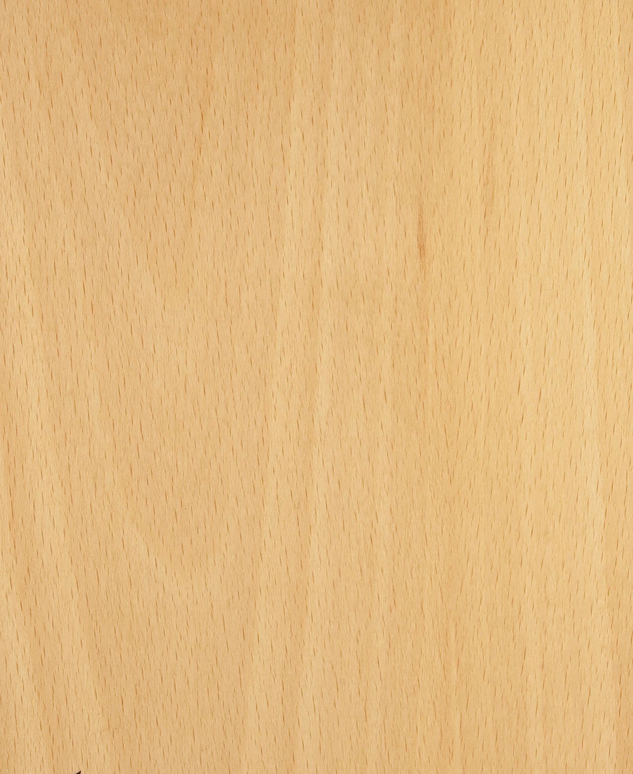 Beech White veneer swatch — rWood Panel