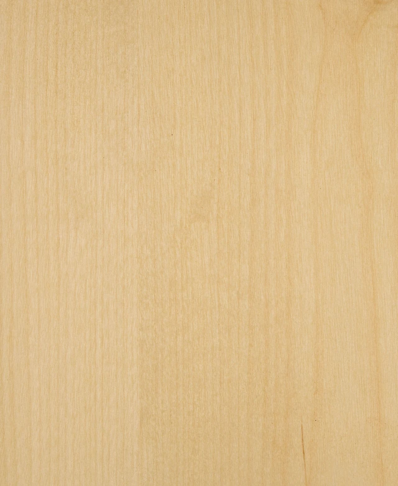 Birch Sliced veneer swatch — rWood Panel