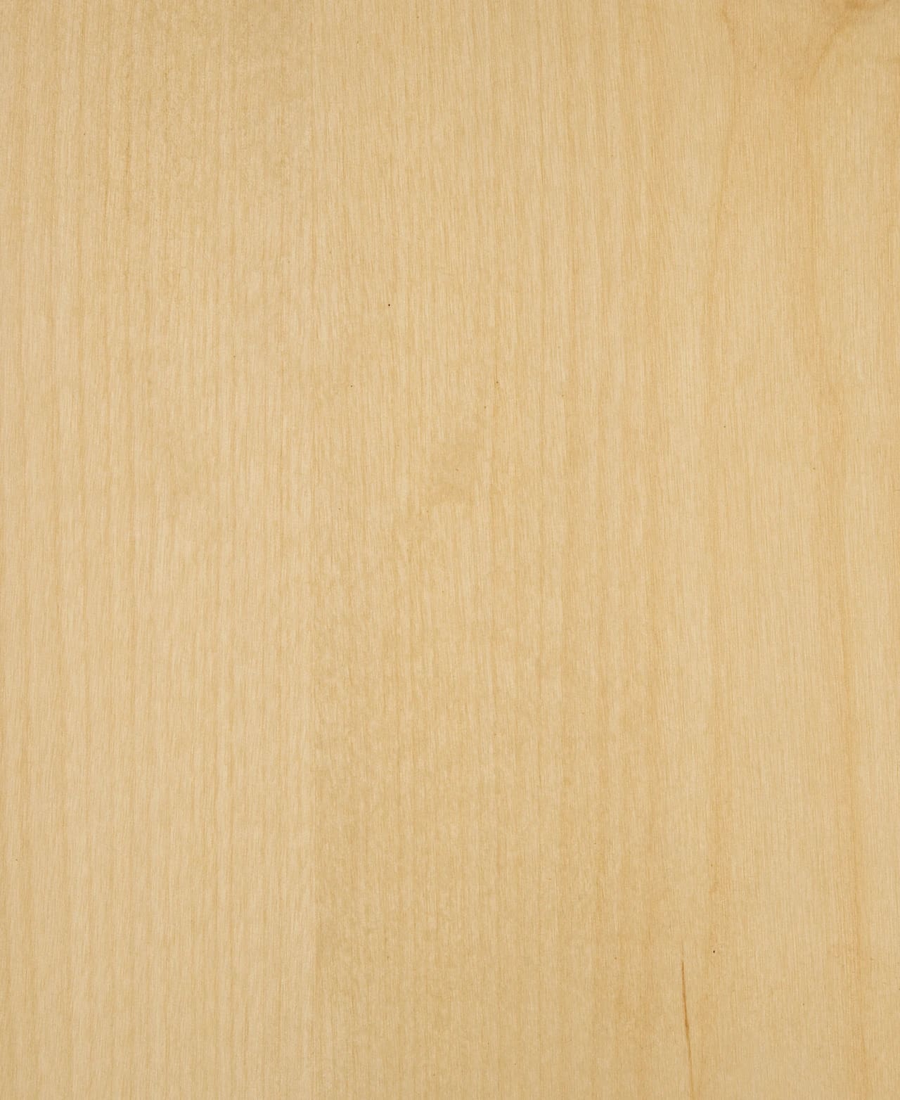 Birch Sliced veneer swatch — rWood Panel